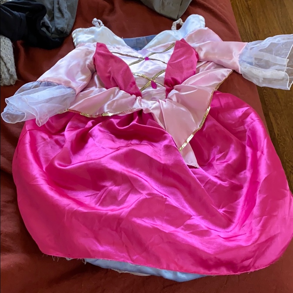 Cinderella and sleeping beauty dress